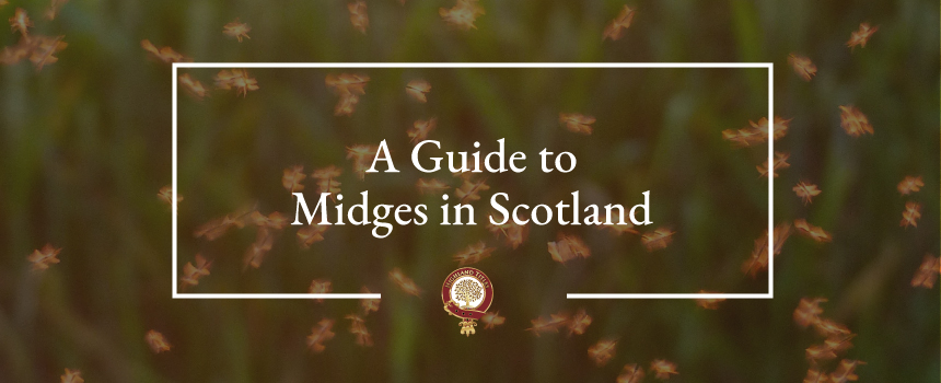A guide to midges header